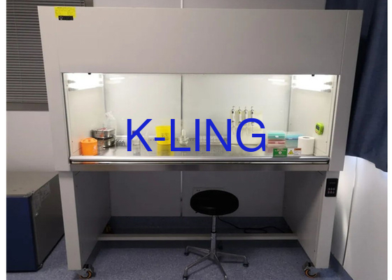 Armoires à débit laminaire à deux étapes avec mini-plies Filtre ULPA pour salle blanche de laboratoire